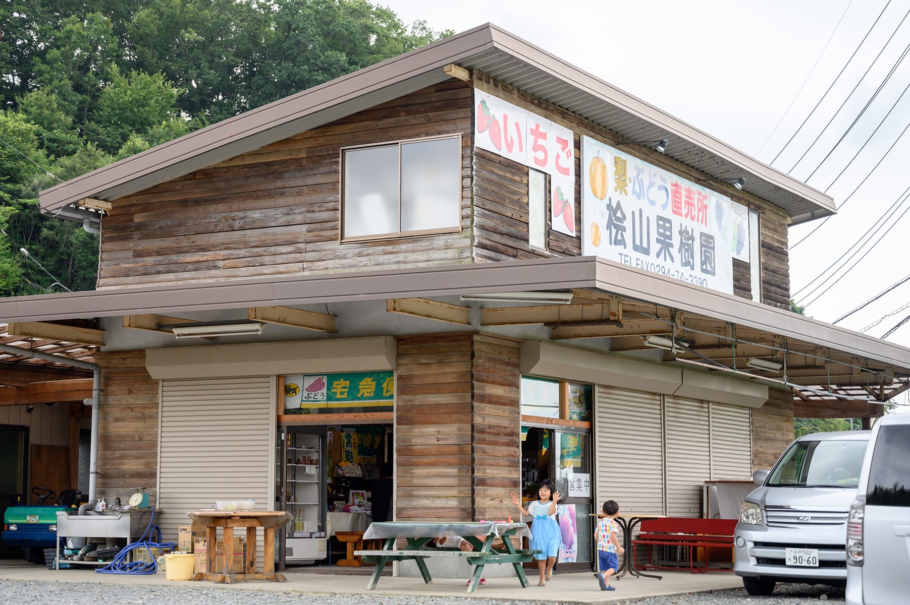 なしの栽培の様子