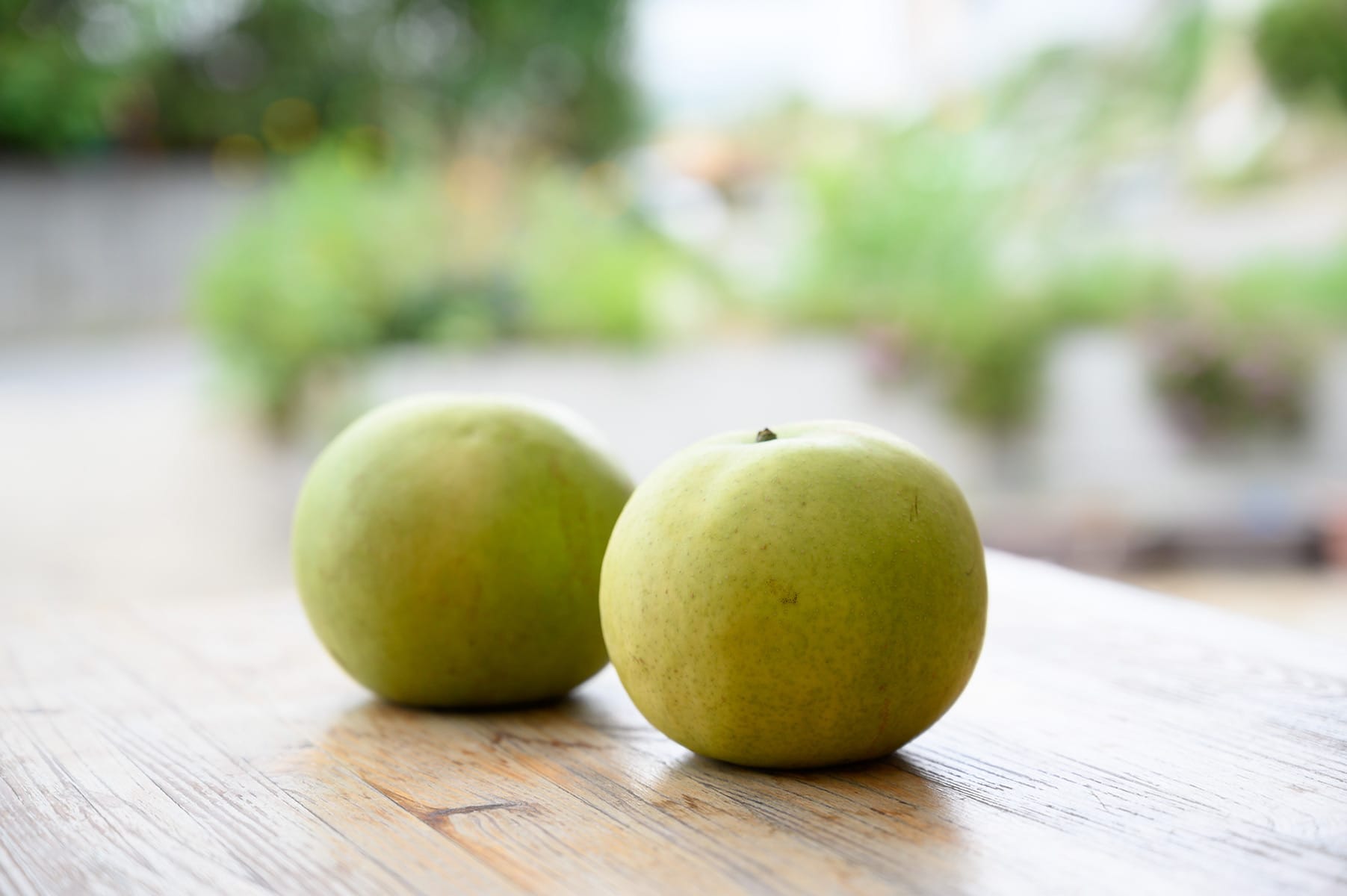 なしの栽培の様子